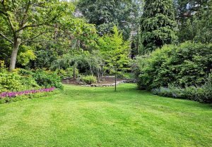 Optimiser l'expérience du jardin à Saint-Paul-de-Loubressac